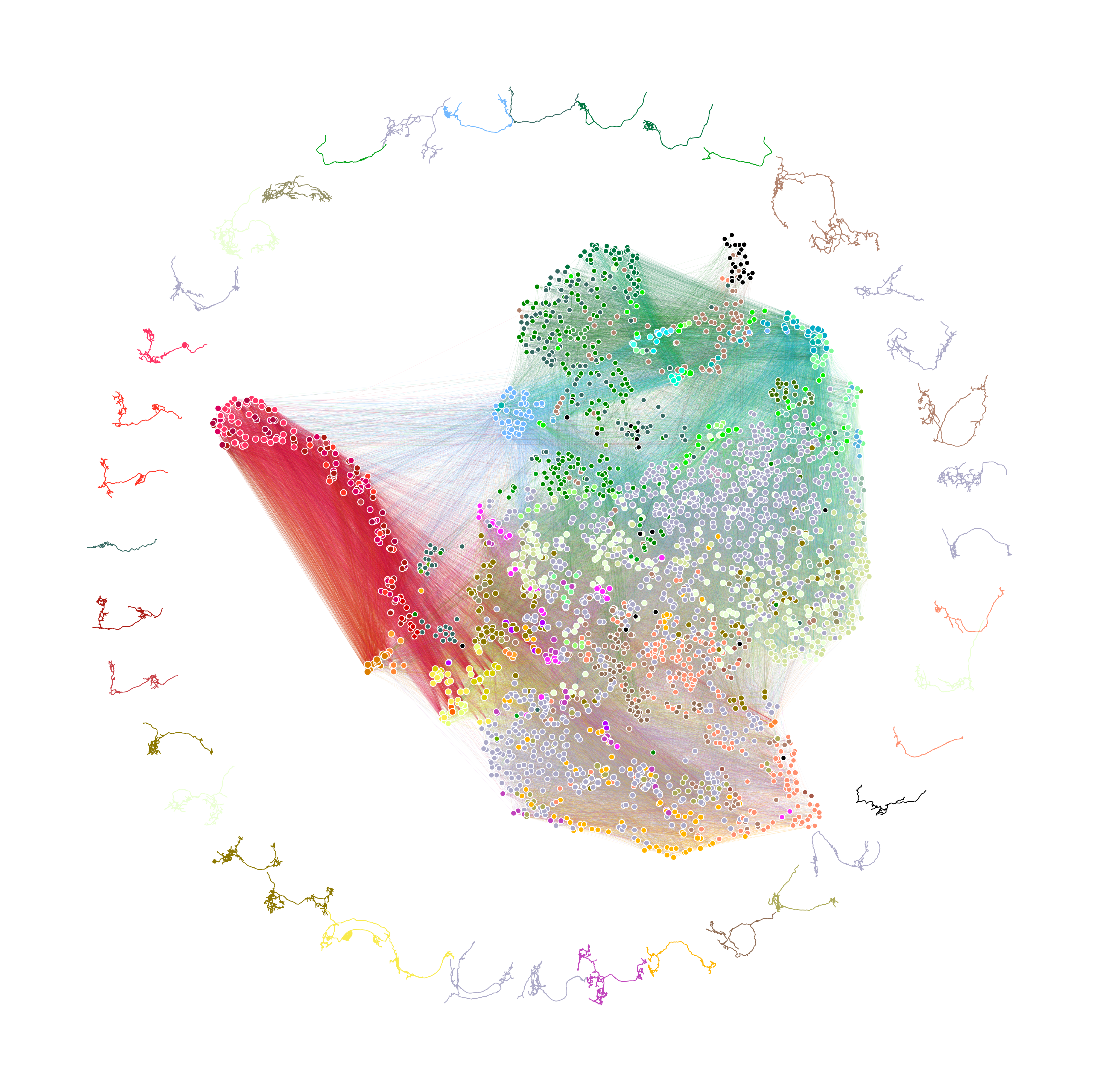 _images/temp-maggot-brain-umap-omni-hue_key=merge_class.png