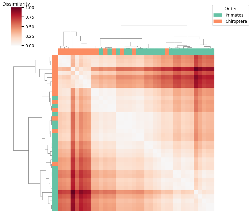 _images/mami_clustering_5_2.png