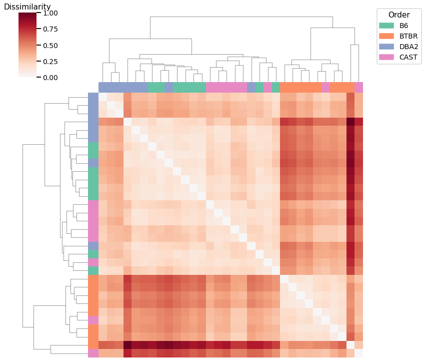 _images/mice_clustering_10_2.png