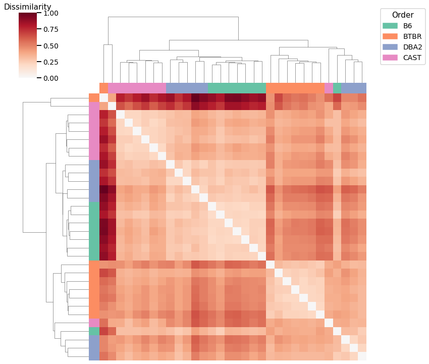 _images/mice_clustering_12_2.png