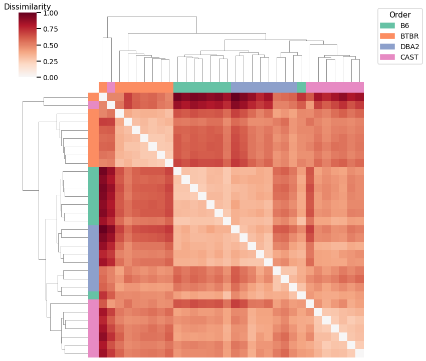 _images/mice_clustering_14_2.png