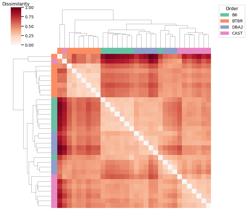 _images/mice_clustering_16_2.png