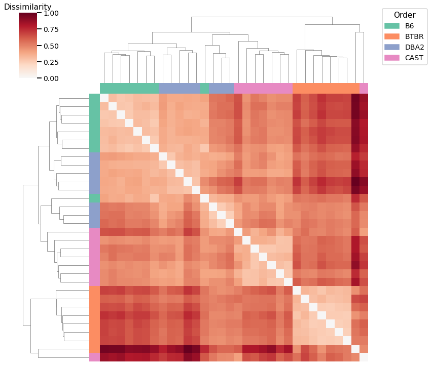 _images/mice_clustering_18_2.png