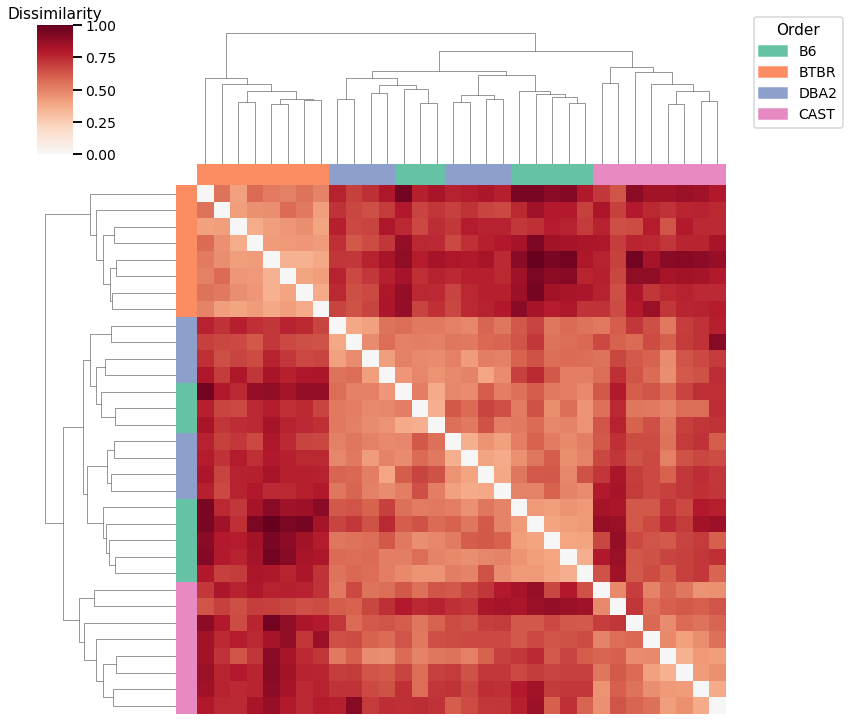 _images/mice_clustering_20_2.png