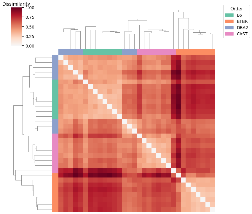 _images/mice_clustering_22_2.png