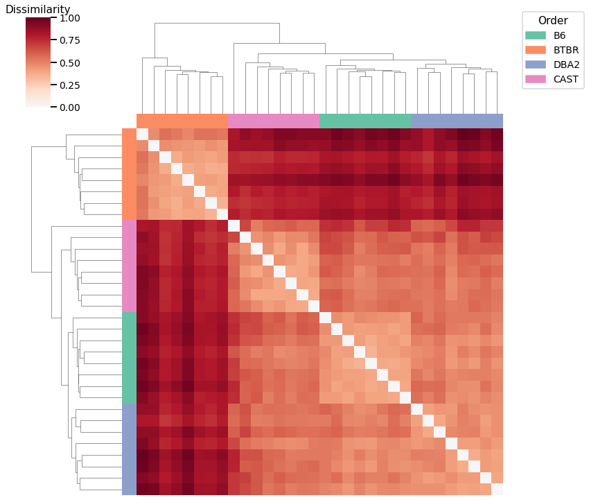 _images/mice_clustering_24_2.png