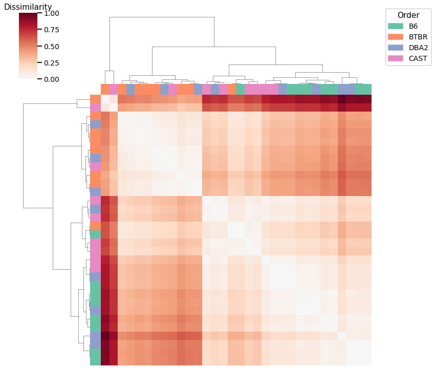 _images/mice_clustering_4_2.png
