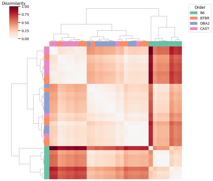 _images/mice_clustering_6_1.png