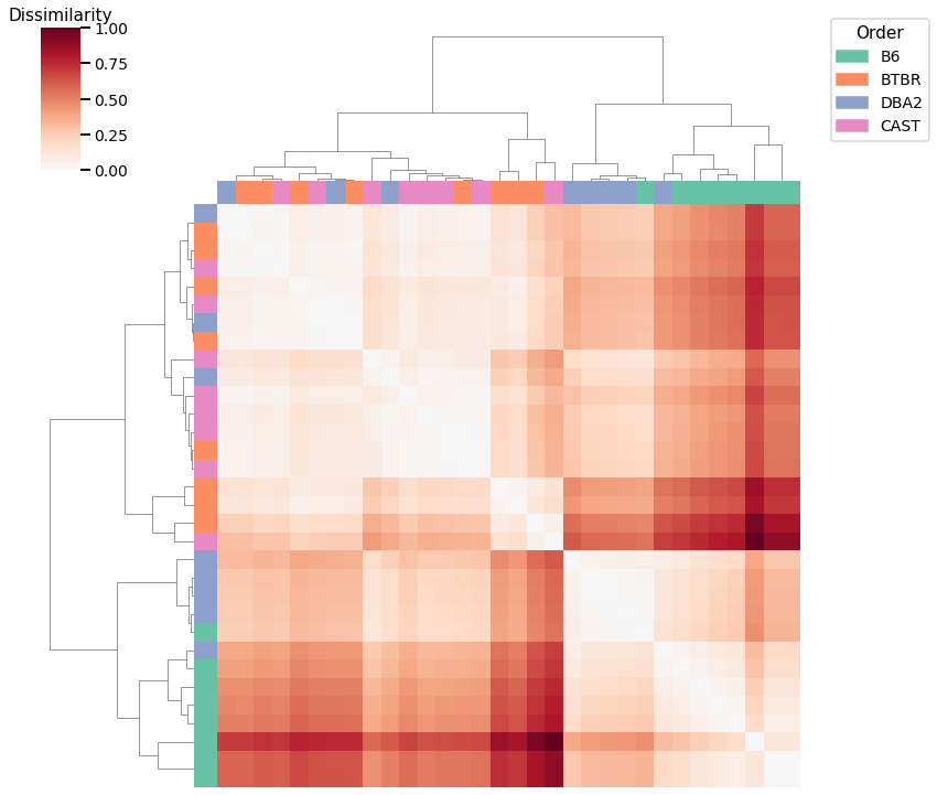 _images/mice_clustering_8_2.png