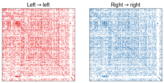 _images/bilateral_symmetry_7_0.png